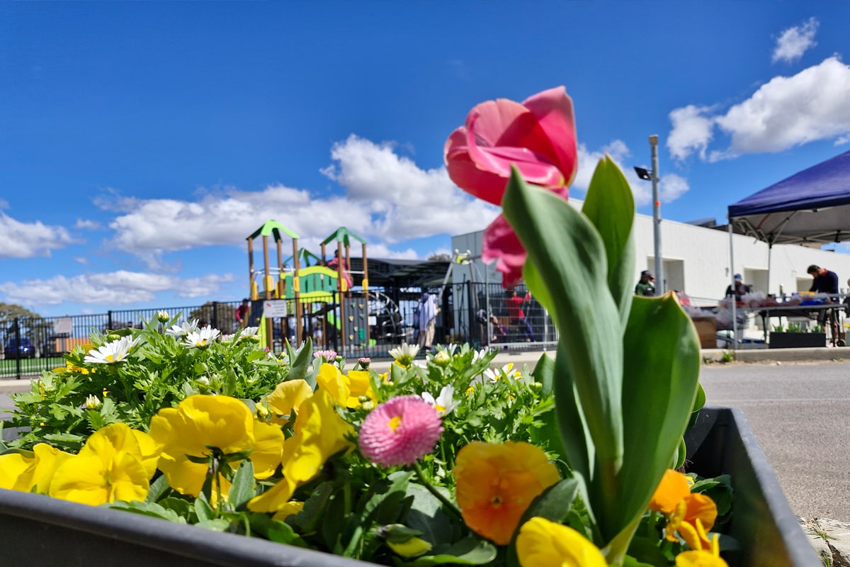 Gungahlin Mosque Garden project
