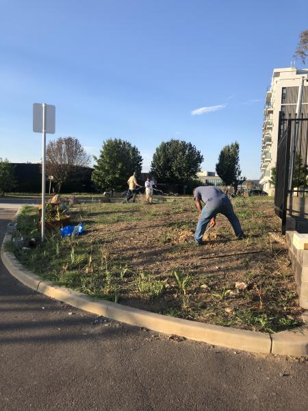 Productive Gardening: Fruits and Blooms