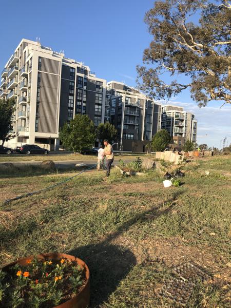 Productive Gardening: Fruits and Blooms