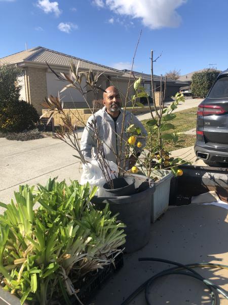 Productive Gardening: Fruits and Blooms