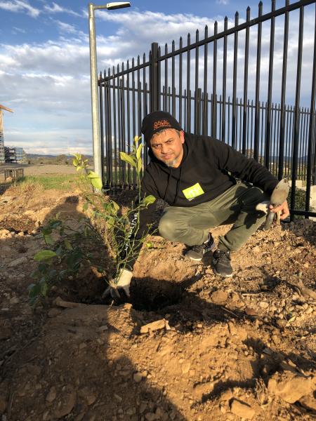 Productive Gardening: Fruits and Blooms