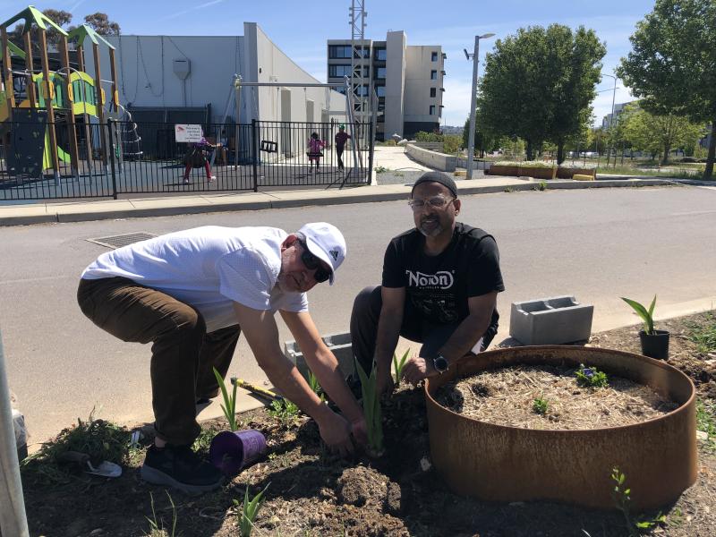 Productive Gardening: Fruits and Blooms