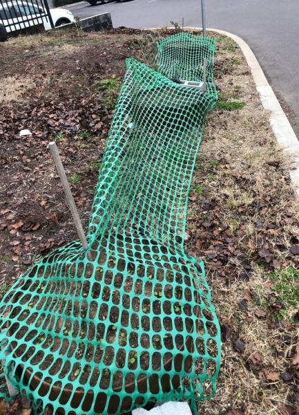 Protection against birds